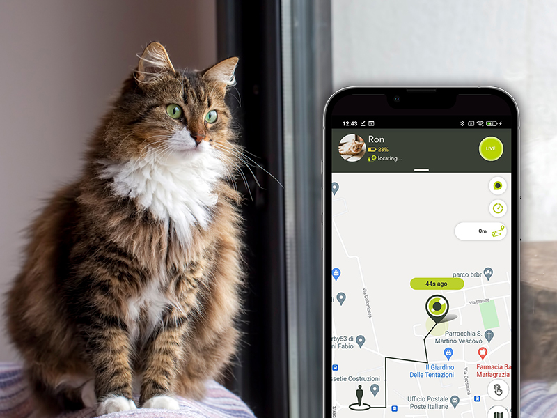 Cat tracker without subscription